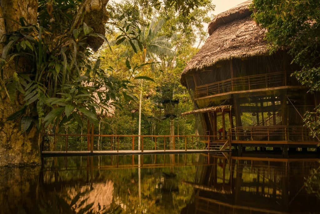 Treehouse lodge during high water season, water at the walkways