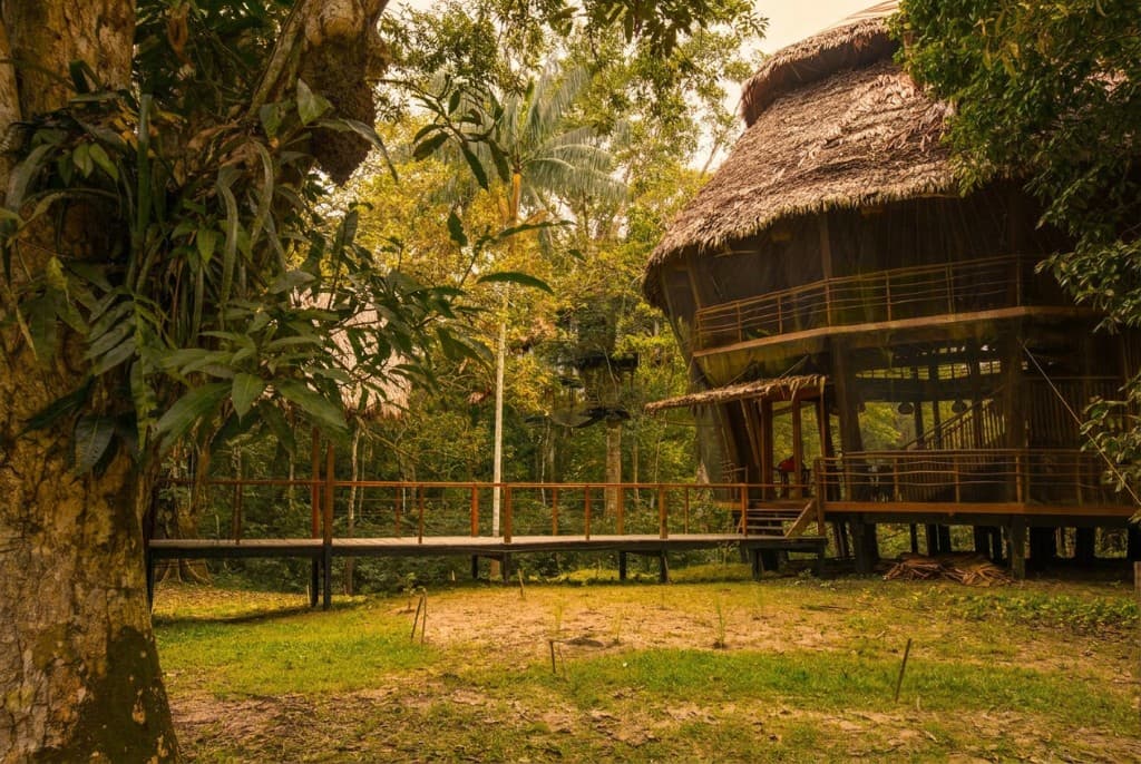 Treehouse lodge and walkway during low water season, dry ground beneath